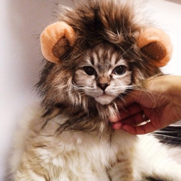 Funny Cute Pet Cat Costume Lion Mane Wig Cap Hat for Cat Dog Halloween Christmas Clothes Fancy Dress with Ears Pet Clothes   2